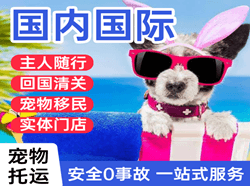 烟台机场快递国际宠物托运 【国